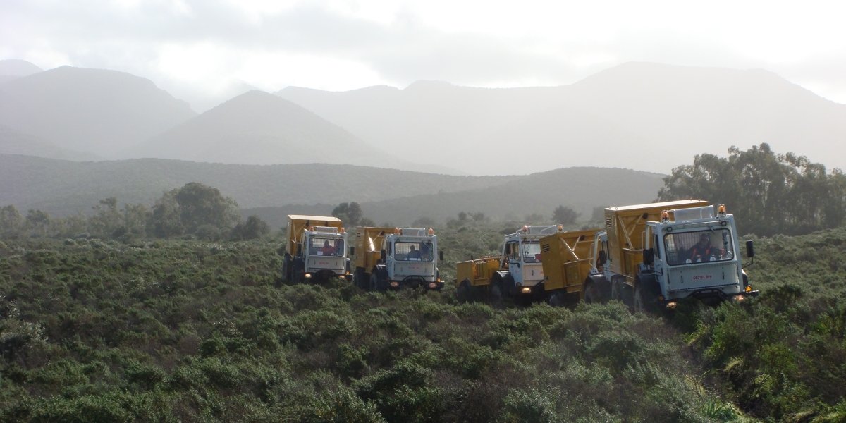 © Ginger Geotec, 2025