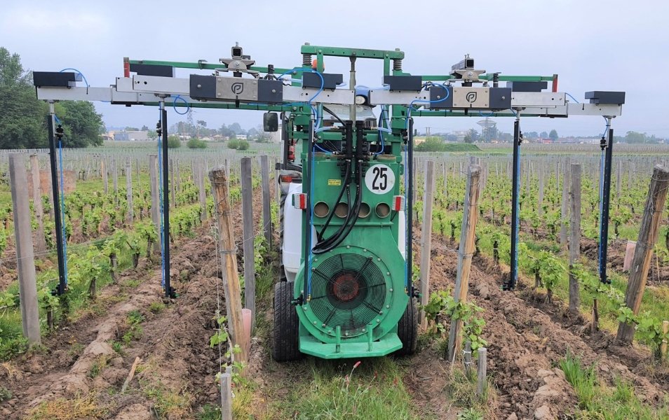 © Praysbee © Praysbee