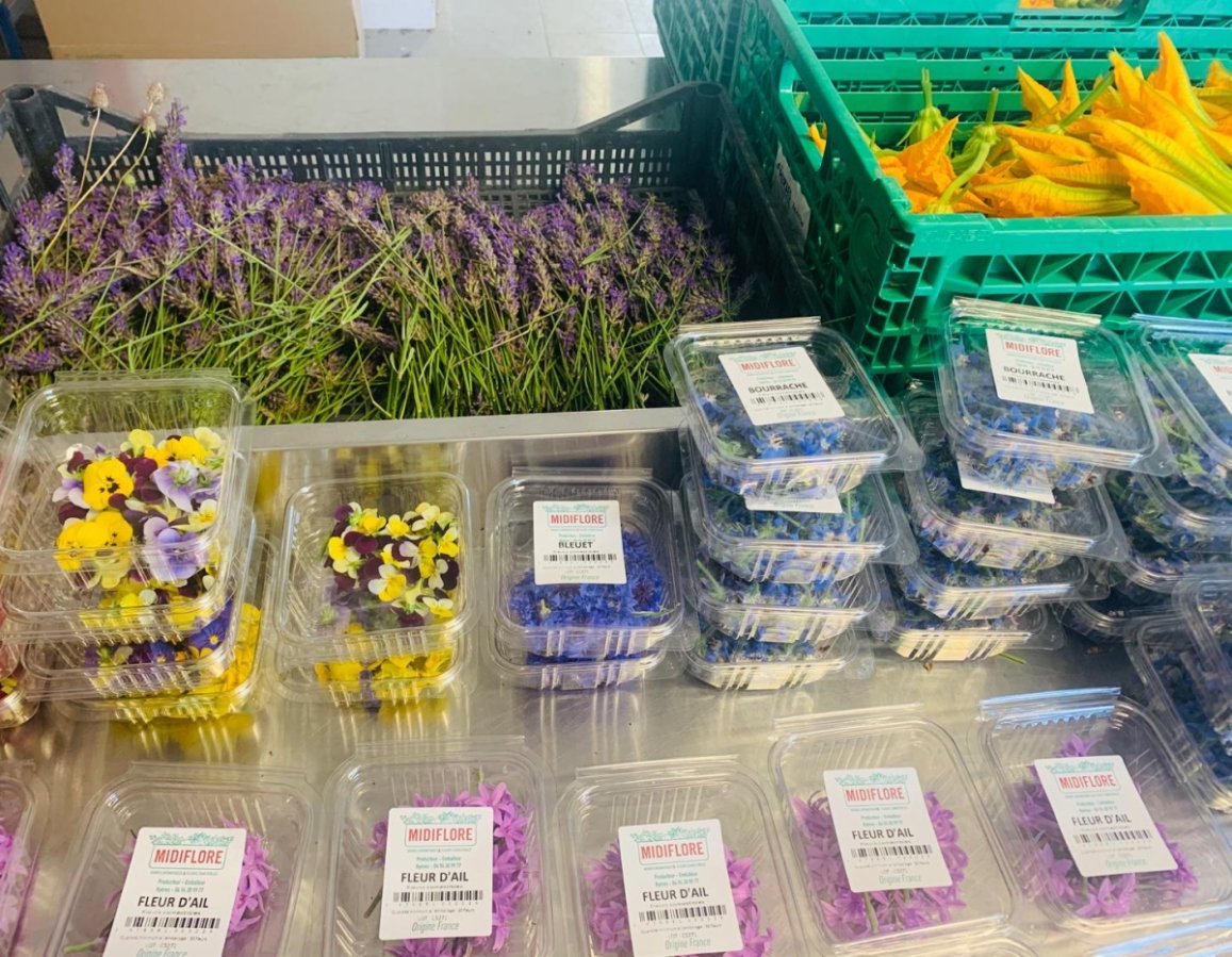 © Midiflore © Midiflore