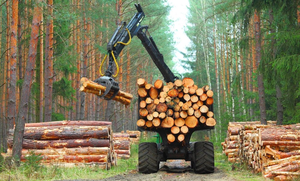 © Adobe Photo Stock © Adobe Photo Stock