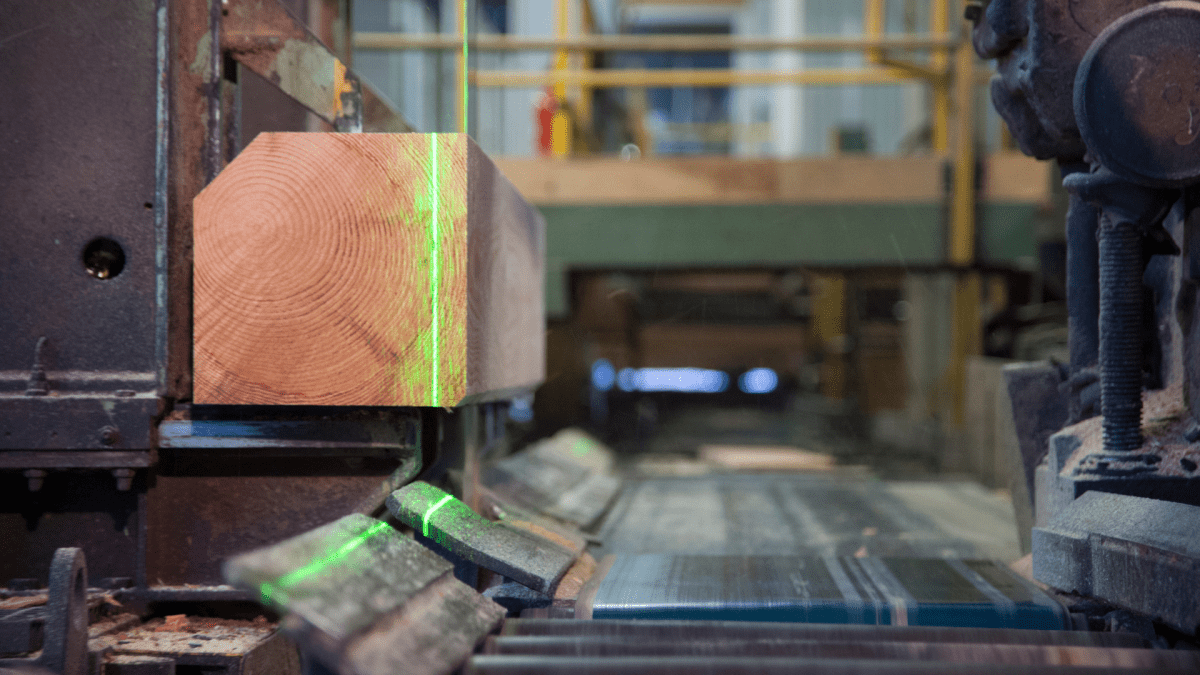 © Scieries de Corgnac, 2025. 