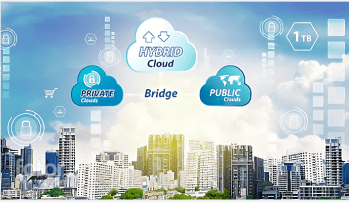 © Easyneo © Easyneo