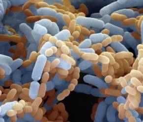 © Eligo Bioscience