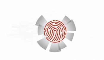 © Ilex International © Ilex International