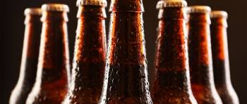 © Kestrel Vision © Kestrel Vision