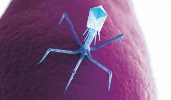 ©  Pherecydes Pharma