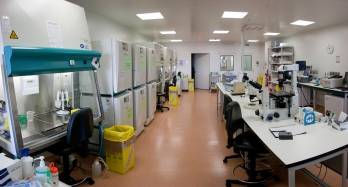 © Domain Therapeutics © Domain Therapeutics