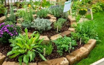 © Botanic © Botanic