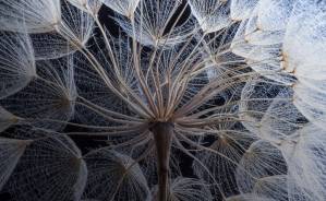 © Mnemo Therapeutics