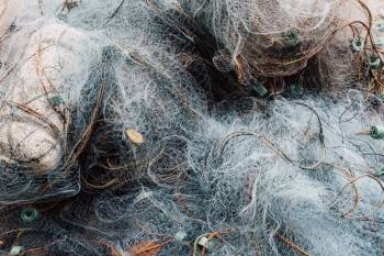 © Freepik © Freepik