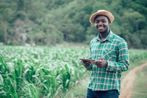 La Société Africaine de Participation Agricole (SAPA) ambitionne de faire bouger les idées reçues sur l'Afrique orientale et australe. - © arrowsmith2/Shutterstock