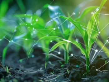 © Adobe Photo Stock (généré à l’aide de l’IA)