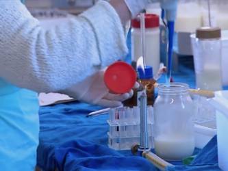 © Adobe Photo Stock