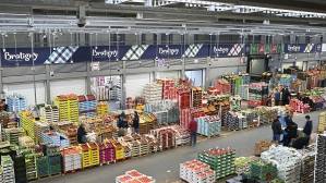 © Omer-Decugis & Cie