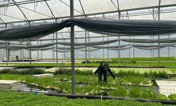 © Les Nouvelles Fermes