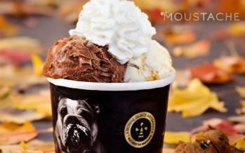 © Glaces Moustache © Glaces Moustache