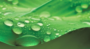 © Plantex © Plantex