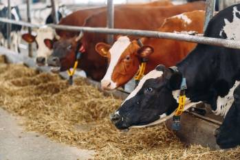 © Difagri © Difagri