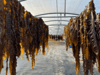 © Arvorig Solutions