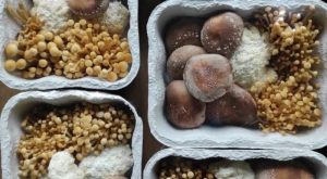 © Omni-Pac Group © Omni-Pac Group