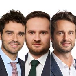 Alexander Hahn, Maxime Hemled et Louis Taslé d’Héliand, Goodwin