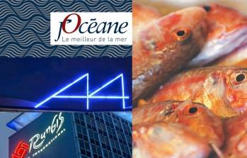 © J'Océane © J'Océane