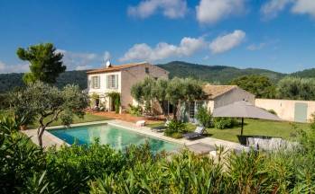 © The Collectionist