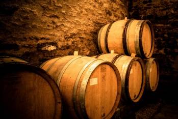 © Domaine des Terres de Velle - Didier Protin