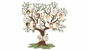 © Agata de Pixabay © Agata de Pixabay