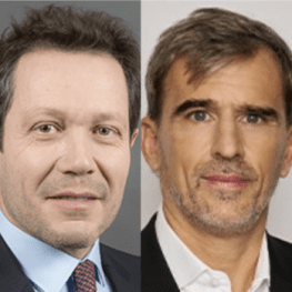 Arnaud David et Thomas Maitrejean, Goodwin