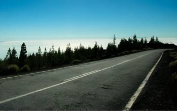 ©Moldtrans Portugal