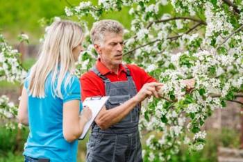 © Groupe CAAMHRO © Groupe CAAMHRO