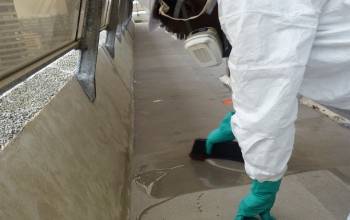 © Marteau © Marteau