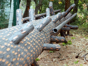 Pylone arbre © Teec