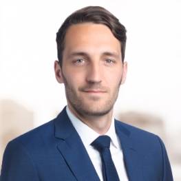 Thibault Dupont-Nougein, Willkie