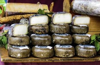 © Image par Vane Monte de Pixabay