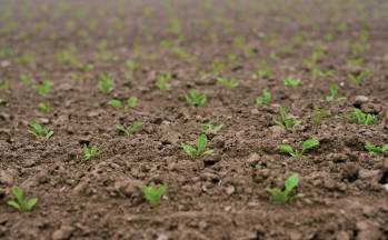 © Pixabay © Pixabay