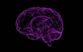 © Raman Oza de Pixabay © Raman Oza de Pixabay