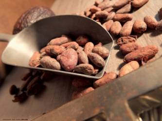 © Saveurs et Nature © Saveurs et Nature