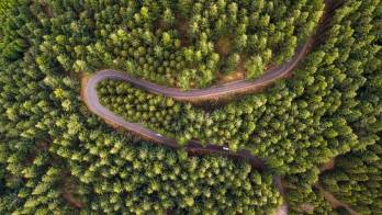 © Groupe Sterne © Groupe Sterne