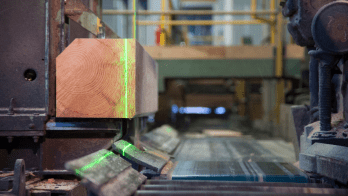 © Scieries de Corgnac, 2025. 