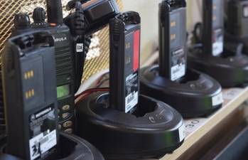 © Paolo Ghedini de Pixabay