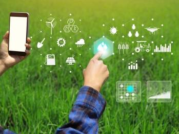 © Adobe Photo Stock