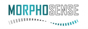 Morphosense
