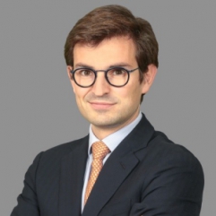 Nicolas Vienot, Alantra