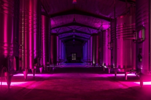 Château Lamothe Bergeron © Andy Julia