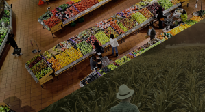 © Connecting Food © Connecting Food