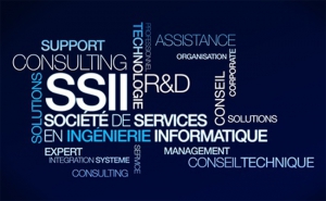 Logiciels et services informatiques UNE