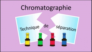 Separative, leader de la Chromatographie Multicapillaire Haute Performance (HPMC) pour l'industrie pharmaceutique. Separative, leader de la Chromatographie Multicapillaire Haute Performance (HPMC) pour l'industrie pharmaceutique.